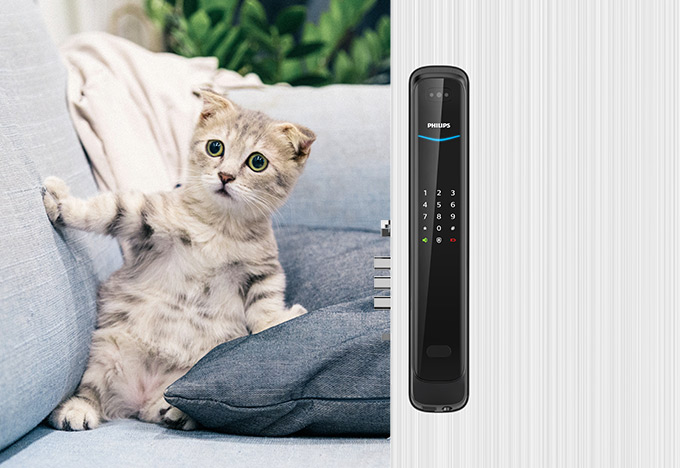 Multi-opening solutions