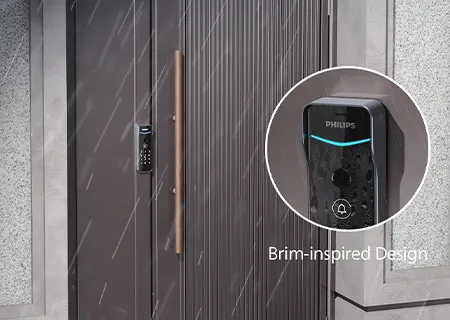 Brim-inspired Design